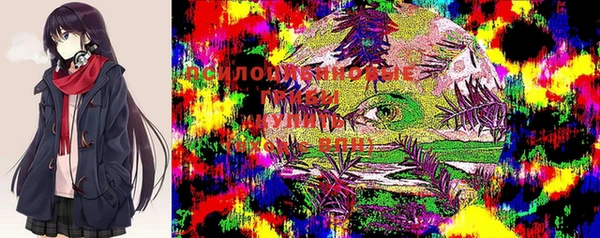 героин Вяземский