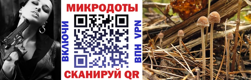 дарк нет какой сайт Наро-Фоминск Псилоцибиновые грибы ЛСД