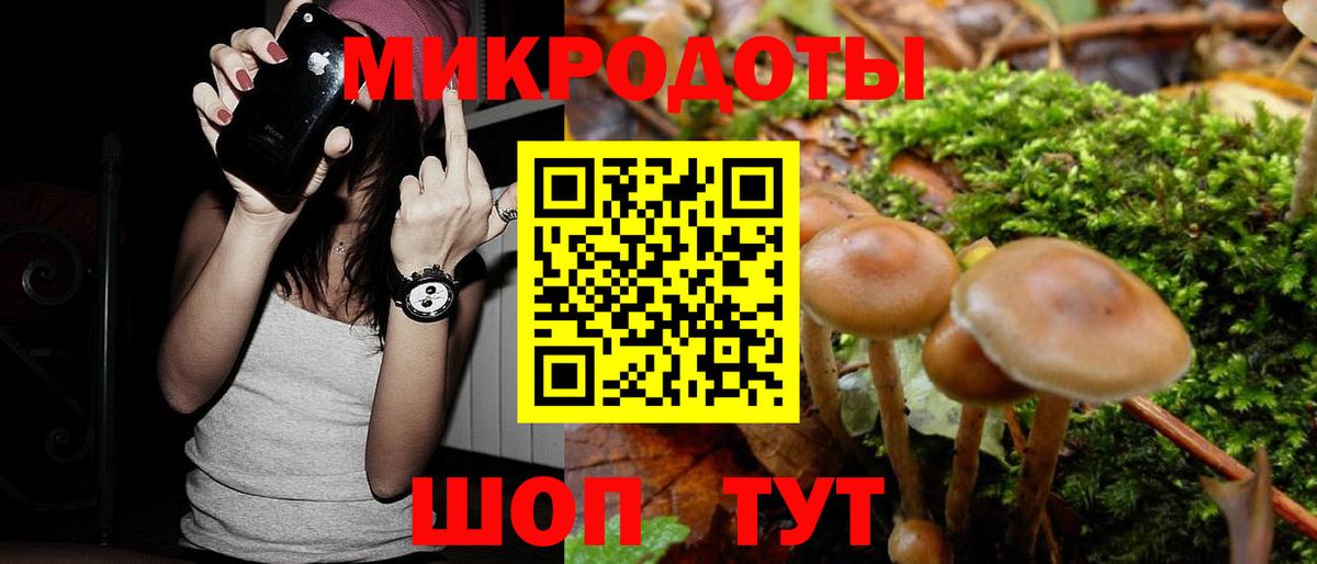 Наро-Фоминск  Псилоцибиновые грибы Psilocybine cubensis  Вход с VPN 